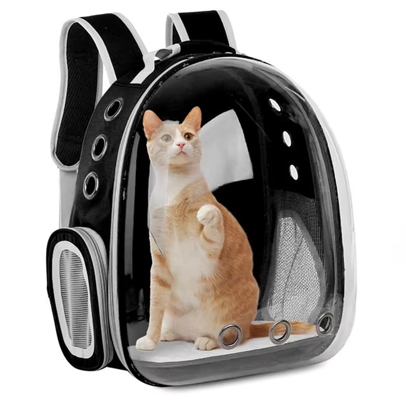 Haustier Katze Tragetasche Platz Haustier Rucksäcke Atmungsaktive Tragbare Transparent Rucksack Welpen Hund Transport Träger Raum Kapsel Taschen