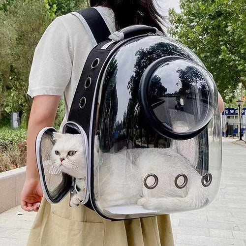Haustier Katze Tragetasche Platz Haustier Rucksäcke Atmungsaktive Tragbare Transparent Rucksack Welpen Hund Transport Träger Raum Kapsel Taschen